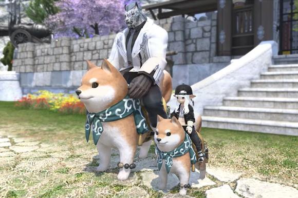 Mount in defferent size